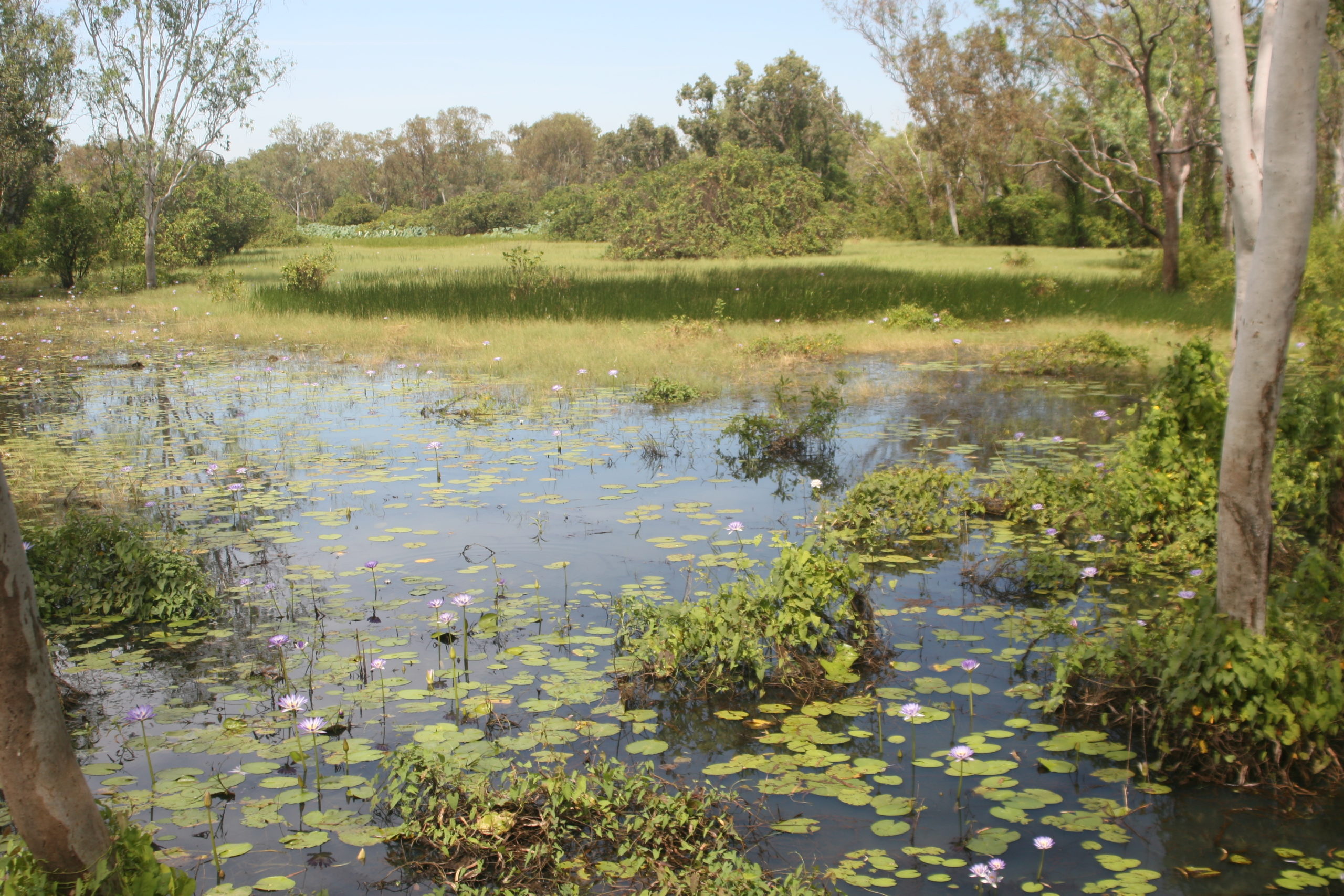 Prayer And Community A Reflection From The Director Of Religious Education CEWA Stories